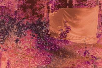 Bernhard Frue, Samthansen 0II, 2004, C-Negativ-Print, 96 x 76 cm, Belvedere, Wien, Inv.-Nr. 103…