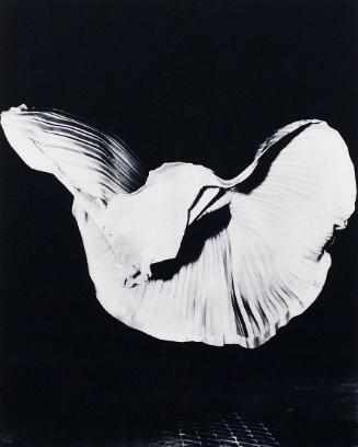 Nadim Vardag, Ohne Titel, 2007, Silbergelatine-Abzug auf Barytpapier, 28 × 22 cm, Belvedere, Wi…