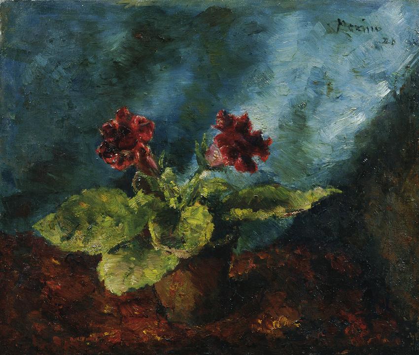 Edmund Pick-Morino, Gloxinienstock, 1920, Öl auf Leinwand, rahmenlos: 51 × 60 cm, Belvedere, Wi…