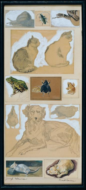 Josef Wawra, Tierstudien (12 Skizzen), um 1920, Aquarell, Bleistift auf Papier, 51 x 23,5 cm, B…