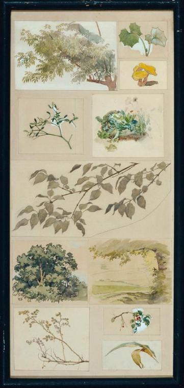 Josef Wawra, Studien nach der Natur, um 1920, Aquarell auf Papier, Belvedere, Wien, Inv.-Nr. 85 ...