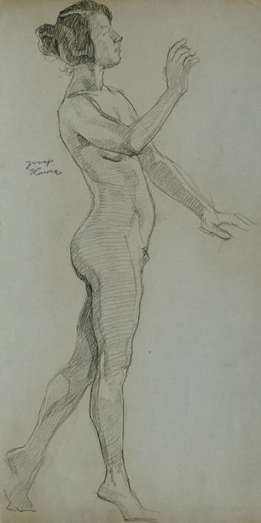 Josef Wawra, Aktstudie, um 1925, Bleistift auf Papier, 50 x 25 cm, Belvedere, Wien, Inv.-Nr. 85…