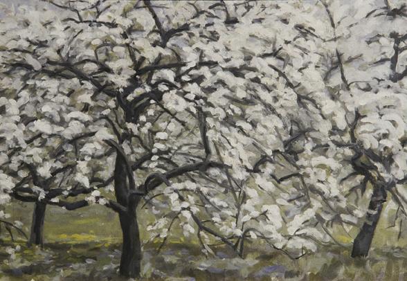 Walther Gamerith, Blühende Obstbäume, 1948, Öl auf Leinwand, 50,5 x 72 cm, Belvedere, Wien, Inv…