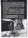 Wil Frenken, sand spiele, 1973, Sand in Folie, 4 Plakate in Kartonschuber, Faltumschlag aus Nat…