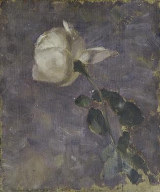 Walther Gamerith, Rose, undatiert, Öl auf Sperrholz, 34 x 28,5 cm, Belvedere, Wien, Inv.-Nr. 90…