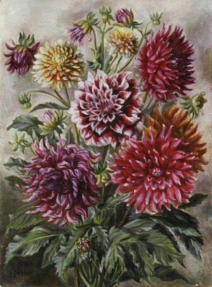 Irma Lang-Scheer, Dahlienstrauß, um 1950, Öl auf Holz, 80 x 60 cm, Belvedere, Wien, Inv.-Nr. 82…