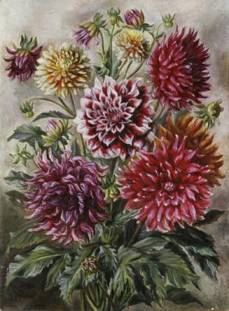 Irma Lang-Scheer, Dahlienstrauß, um 1950, Öl auf Holz, 80 x 60 cm, Belvedere, Wien, Inv.-Nr. 82…