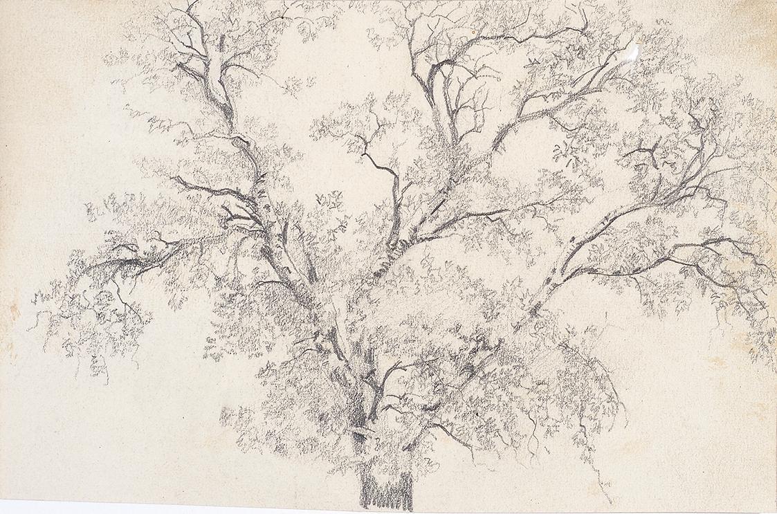 Baumstudie - verso: Burg