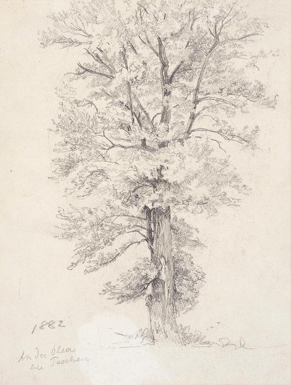 Theodor Alphons, Baumstudie. An der Olsa bei Teschen - verso: Fünf Bäume, 1882, Bleistift auf P…