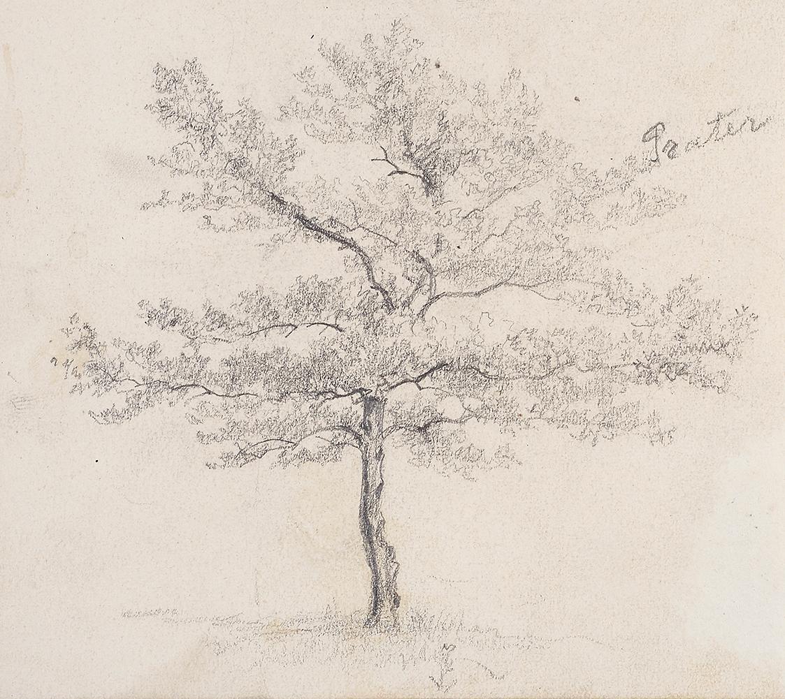 Baumstudie - verso: Burg