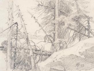 Theodor Alphons, Windbruch im Wald mit Seeblick, 1892, Bleistift auf Papier, 12,8 × 17,2 cm, Be…
