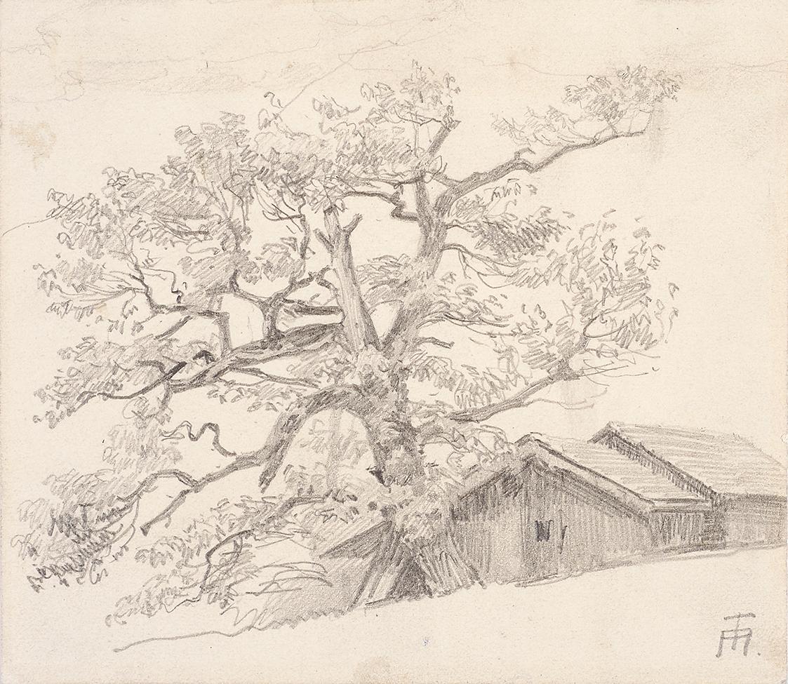 Theodor Alphons, Hütte mit altem Birnbaum, um 1890, Bleistift auf Papier, 11,2 × 12,7 cm, Belve ...