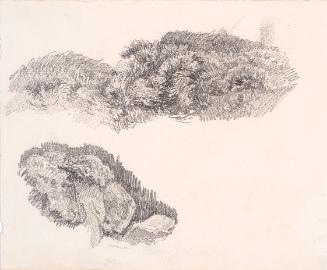 Theodor Alphons, Bewachsene Steine, um 1880/1890, Bleistift auf Papier, 18,5 × 12,5 cm, Belvede…
