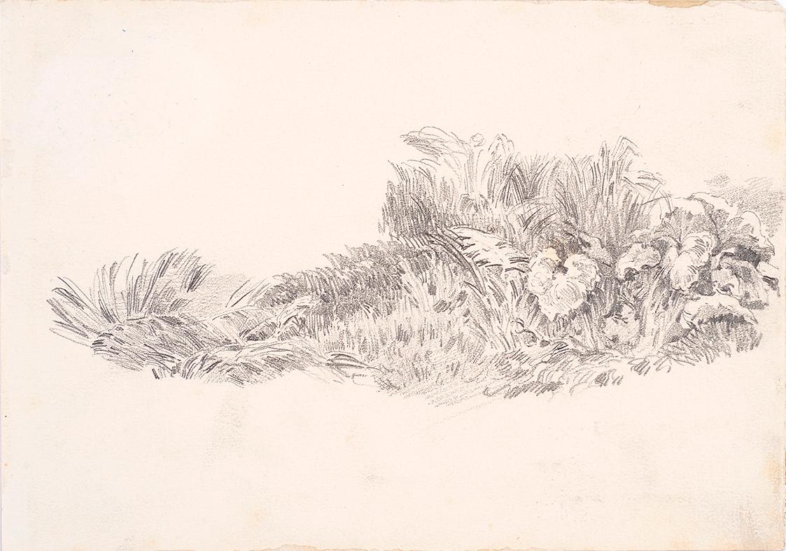 Theodor Alphons, Rasenstück, um 1880/1890, Bleistift auf Papier, 12,5 × 18 cm, Belvedere, Wien,…