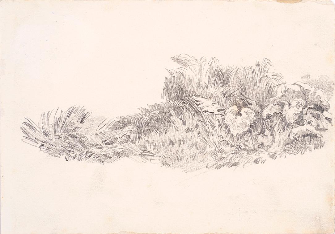 Theodor Alphons, Rasenstück, um 1880/1890, Bleistift auf Papier, 12,5 × 18 cm, Belvedere, Wien,…