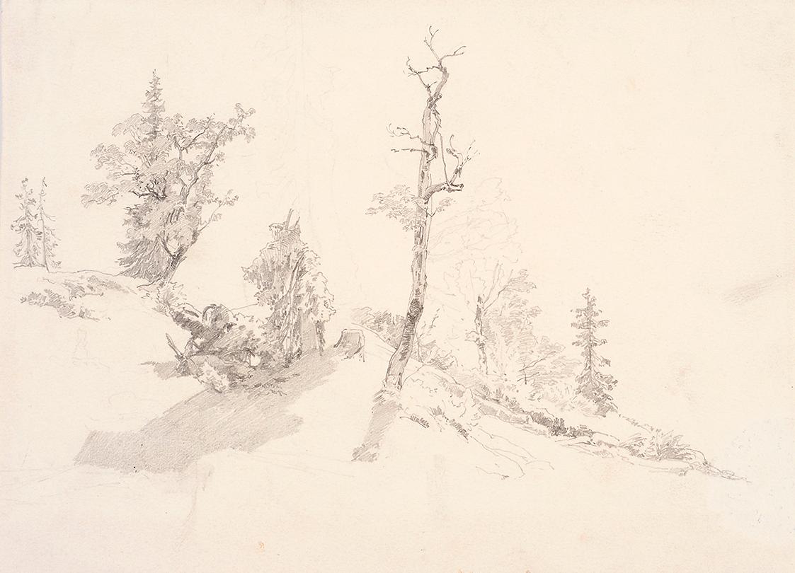 Theodor Alphons, Bäume am Waldeshang, um 1892, Bleistift auf Papier, 16,2 × 24,2 cm, Belvedere,…