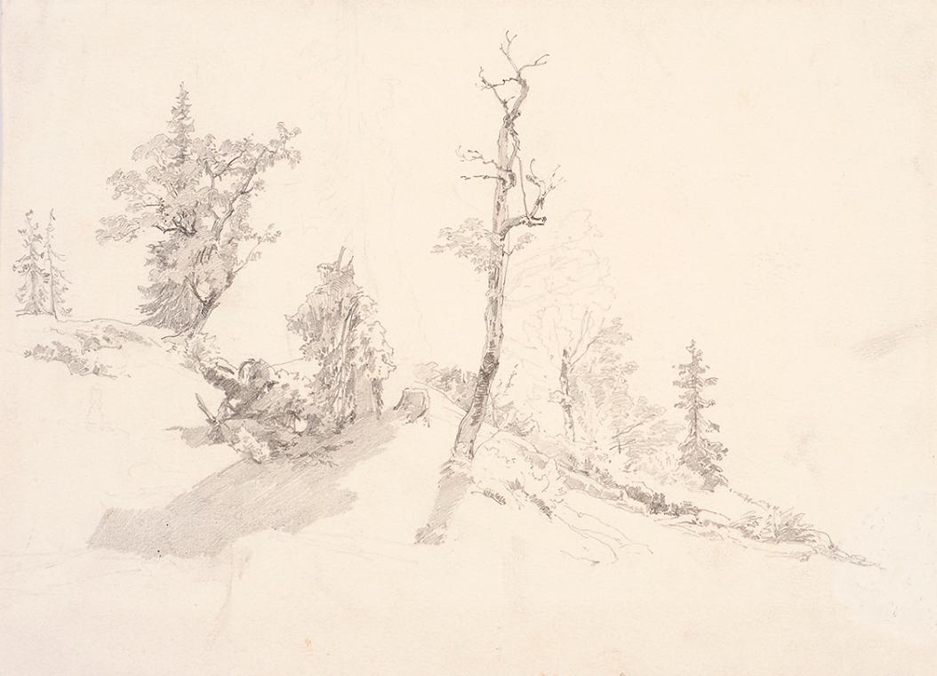 Theodor Alphons, Bäume am Waldeshang, um 1892, Bleistift auf Papier, 16,2 × 24,2 cm, Belvedere,…
