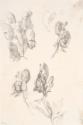 Theodor Alphons, Schloss am See (verso: Eisenhut), um 1880/1890, Bleistift auf Papier, 12,6 × 1…