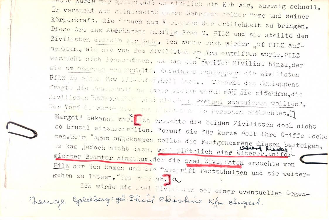 Ausschnitte der Polizeiprotokolle