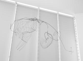 Constantin Luser, Die Landung D.1.1, 2015, Draht, 60 × 155 × 145 cm, Belvedere, Wien, Inv.-Nr. …