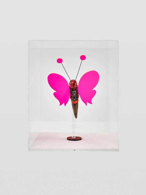 Renate Bertlmann, Farphalla Impudica 4, 1985, Mischtechnik, Goldlack, Flitter, Plexiglas, Metal…