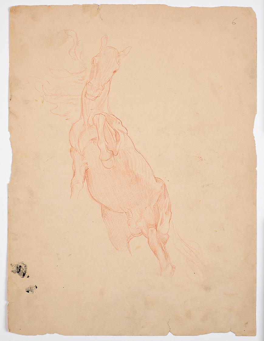 Study of a Leaping Horse