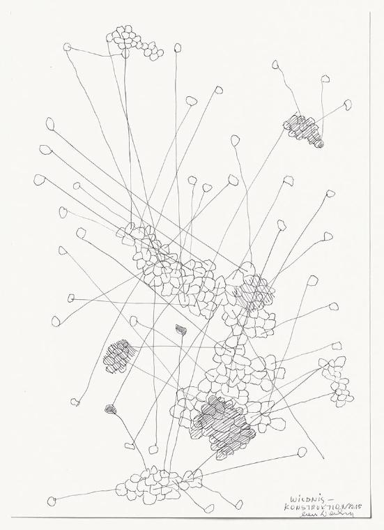 Lois Weinberger, Wildniskonstruktion, 2015, Tusche, Aquarell auf Papier, 42 × 29,7 cm, Belveder…