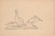 Franz Barwig, Entwurf zu einer Pelikangruppe, um 1905/1906, Schwarze Kreide aus Papier, 30,4 × …