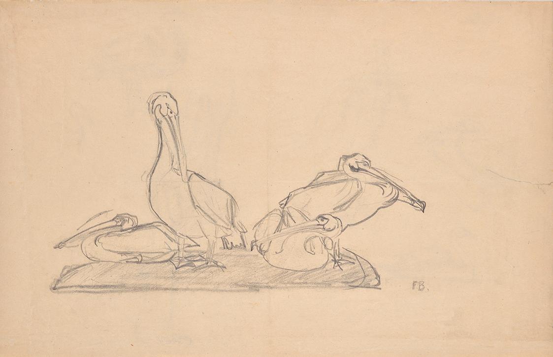 Franz Barwig, Entwurf zu einer Pelikangruppe, um 1905/1906, Schwarze Kreide aus Papier, 30,4 × …