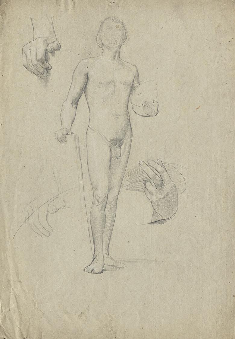 Männliche Aktstudie und Handstudien