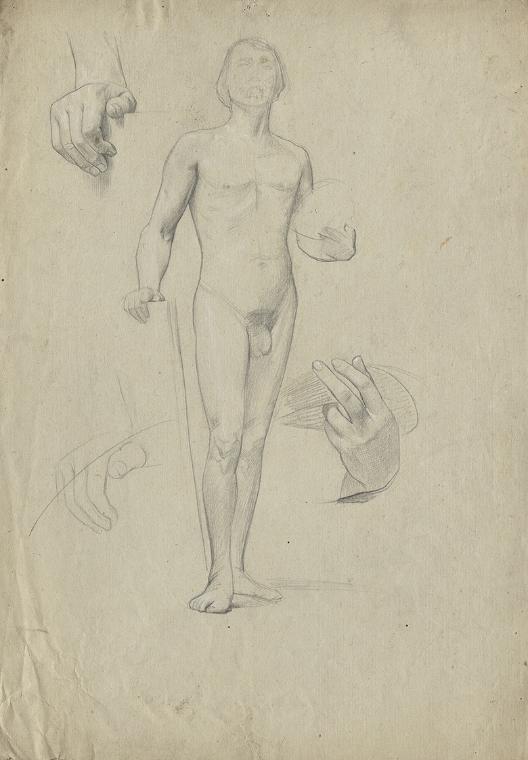 Männliche Aktstudie und Handstudien
