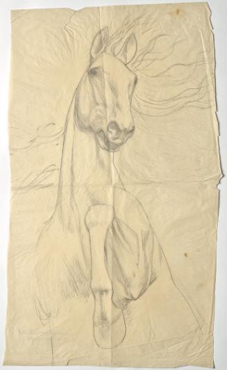 Franz von Matsch, Studie eines aufsteigenden Pferdes, undatiert, Bleistift, 84 x 48,5 cm, Belve…