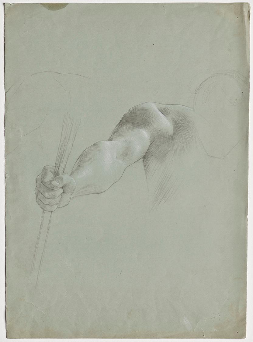 Franz von Matsch, Armstudie, undatiert, Bleistift und Weißstift, 50,9 x 36,6 cm, Belvedere, Wie…