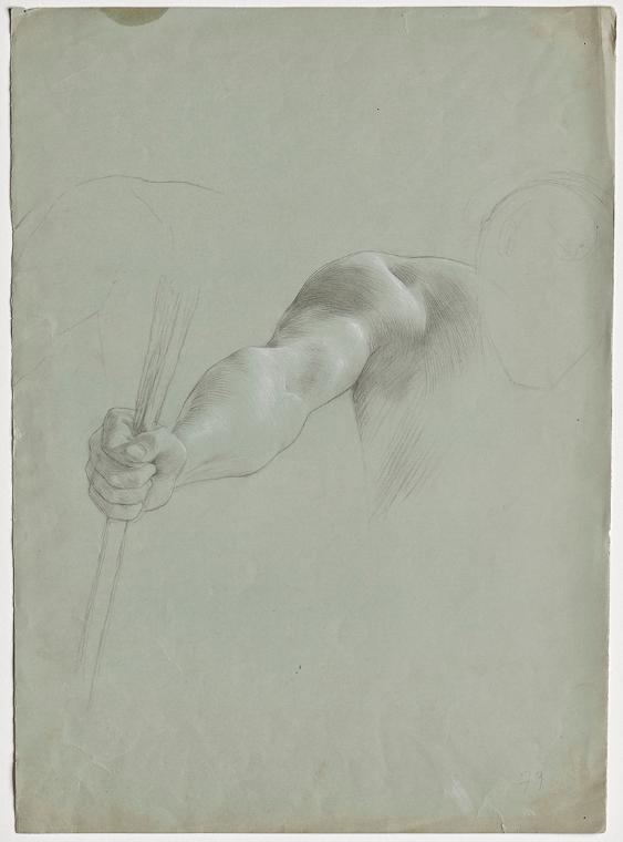 Franz von Matsch, Armstudie, undatiert, Bleistift und Weißstift, 50,9 x 36,6 cm, Belvedere, Wie…