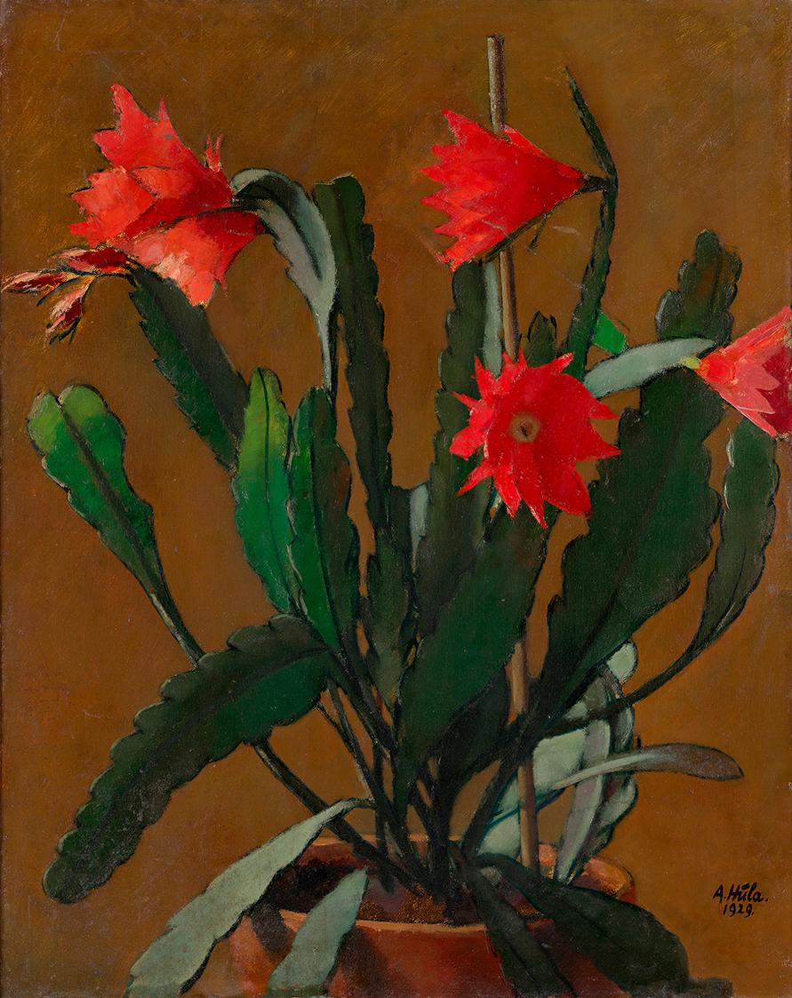 Anton Hula, Stillleben mit blühendem Kaktus, 1929, Öl auf Leinwand, 79 x 63 cm, Belvedere, Wien…