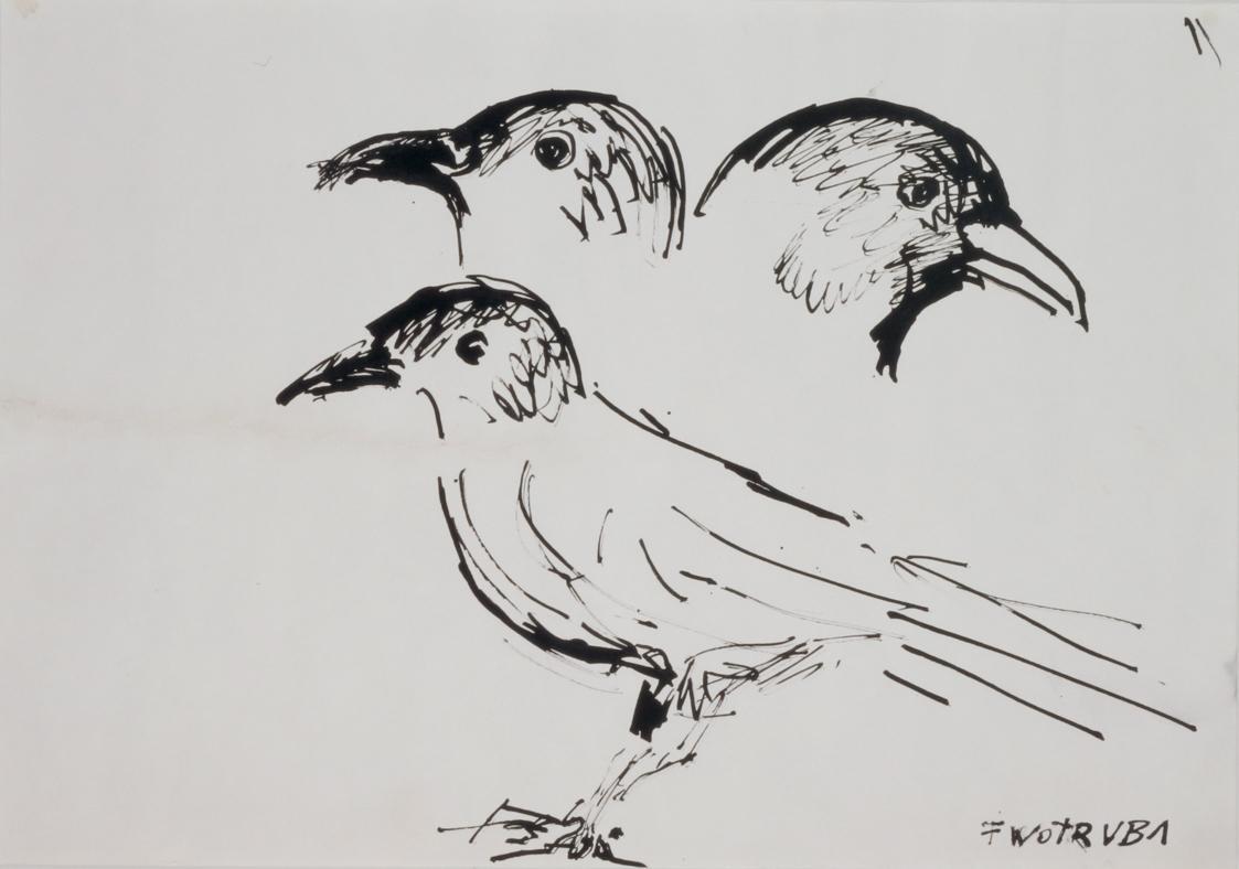 Fritz Wotruba, Skizze zu einem Vogel (Dohle Hansi), undatiert, Tusche mit Feder auf Papier, Bla…