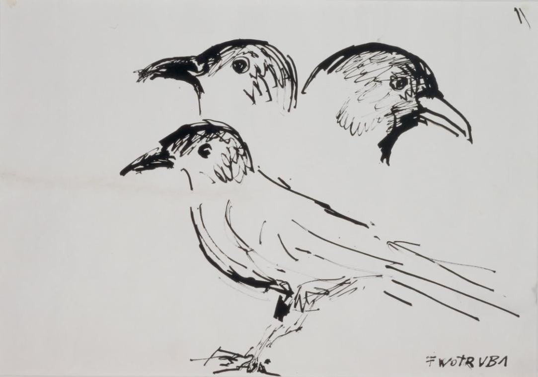 Fritz Wotruba, Skizze zu einem Vogel (Dohle Hansi), undatiert, Tusche mit Feder auf Papier, Bla…