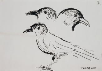 Fritz Wotruba, Skizze zu einem Vogel (Dohle Hansi), undatiert, Tusche mit Feder auf Papier, Bla…