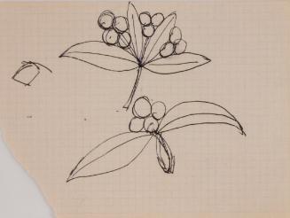 Fritz Wotruba, Entwurf für Schmuck, undatiert, Kugelschreiber (schwarz) auf Papier
, Blattmaße…