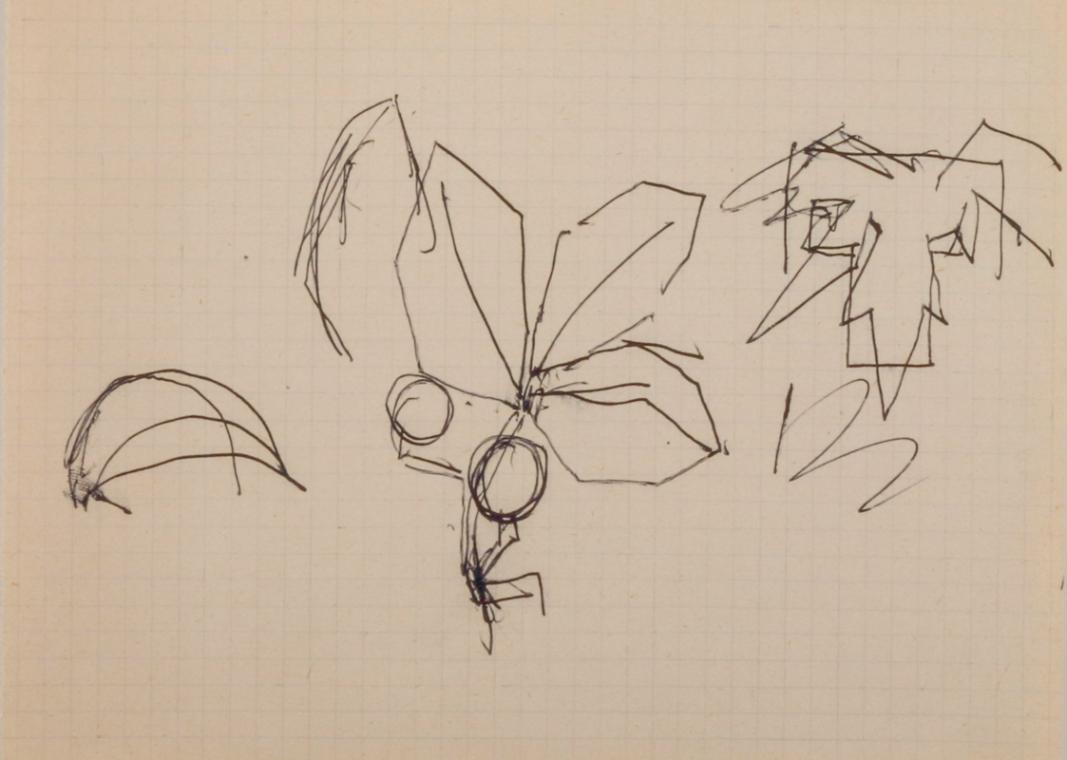 Fritz Wotruba, Entwurf für Schmuck, undatiert, Kugelschreiber (schwarz) auf Papier
, Blattmaße…