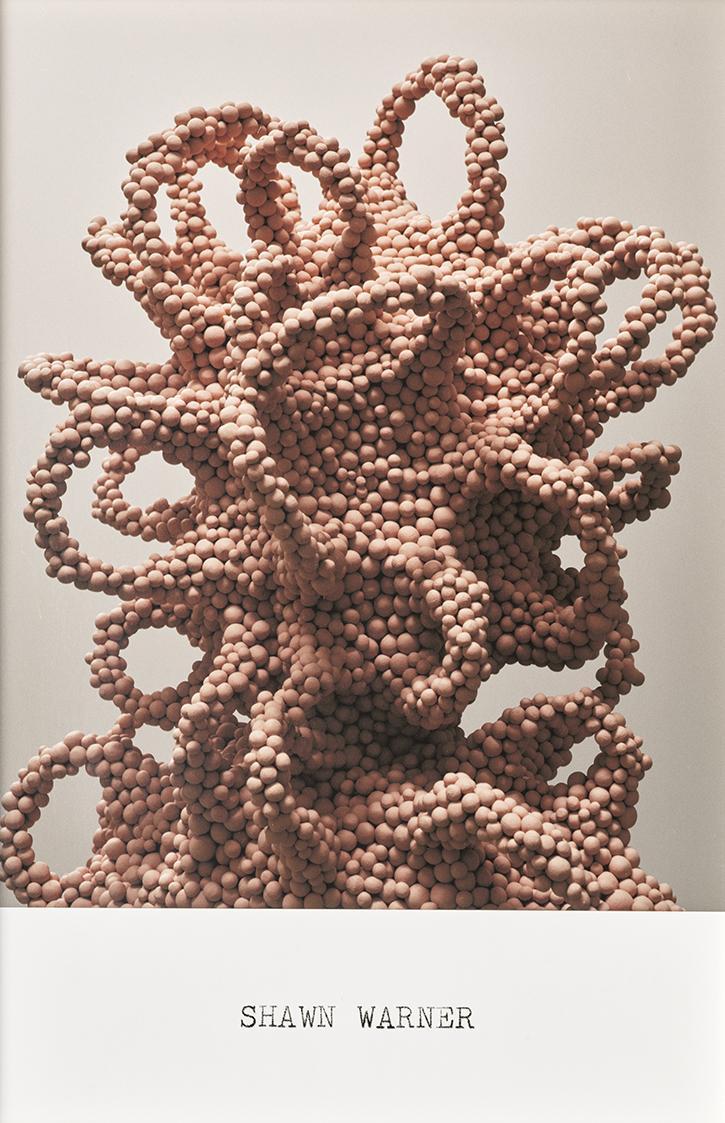 Peter Köllerer, SHAWN WARNER, 2010–2015, Inkjetprint auf Hahnemühle Photorag Ultrasmooth Papier…