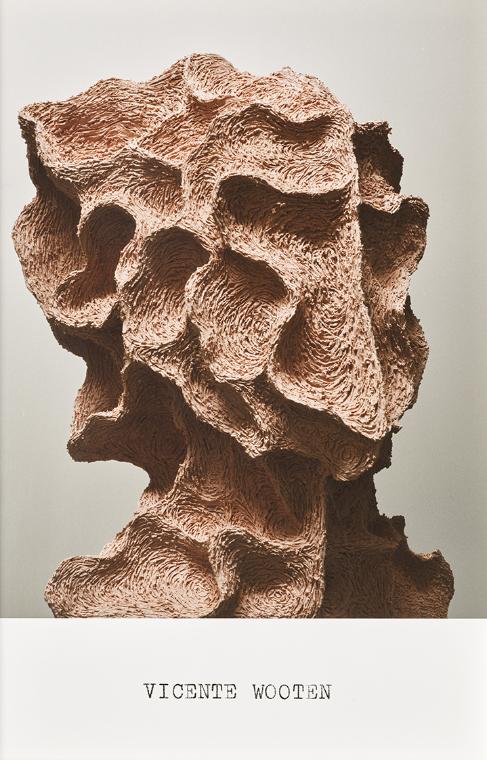 VICENTE WOOTEN