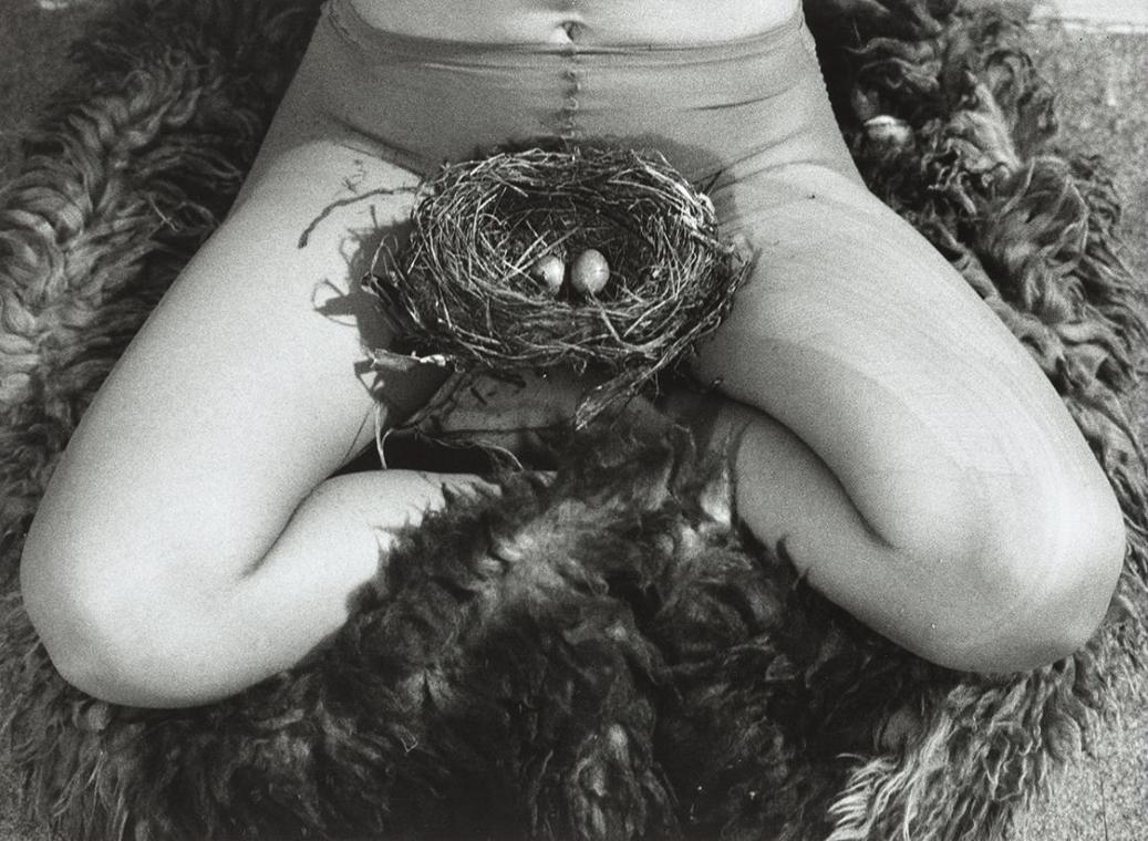 Birgit Jürgenssen, Nest, 1979, S/W Fotografie, 17,8 x 24 cm, Belvedere, Wien, Inv.-Nr. 10302