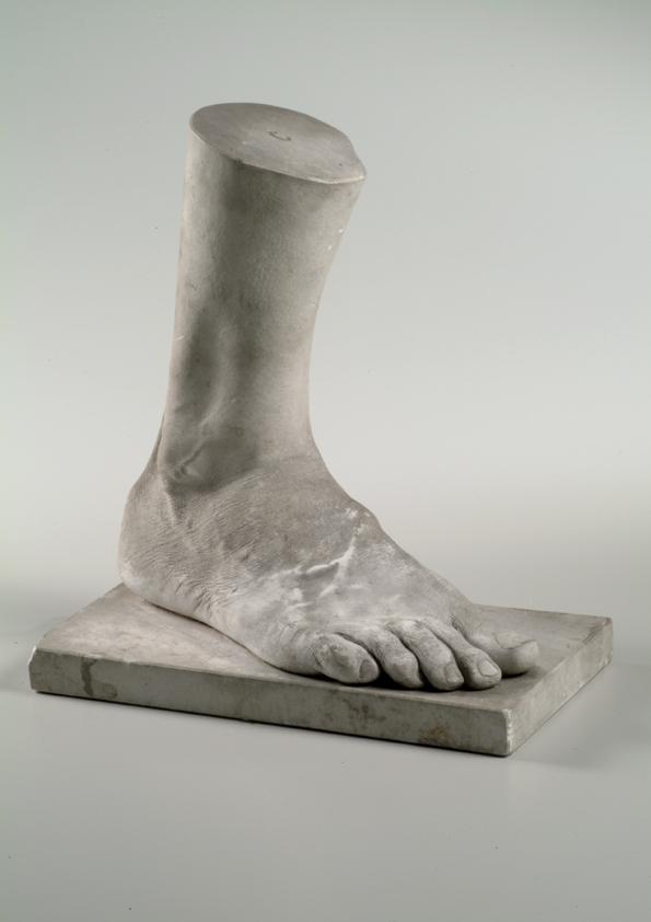 Rechter männlicher Fuß (Lebendabguss) ("C")