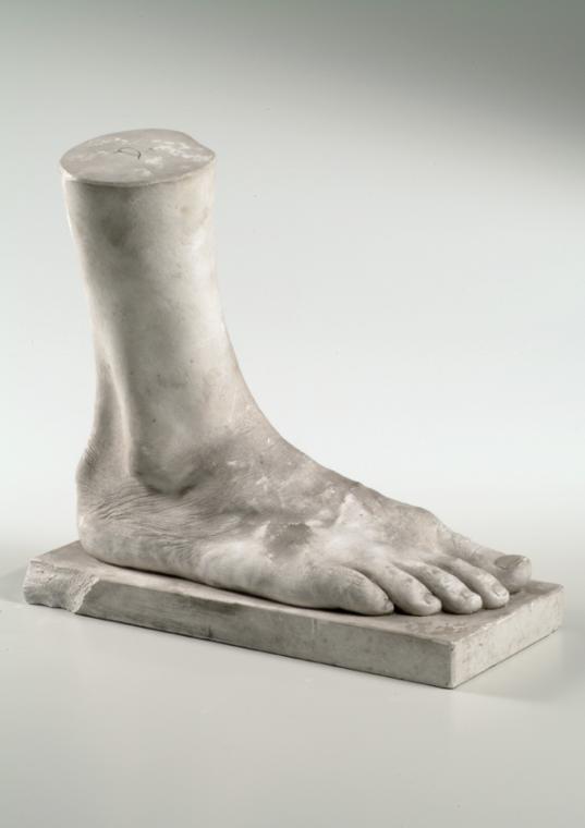 Rechter männlicher Fuß (Lebendabguss) ("D")