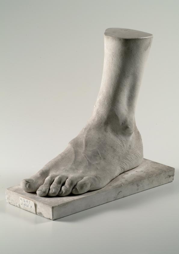 Linker männlicher Fuß (Lebendabguss) ("Ä.")