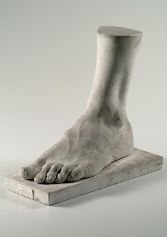Linker männlicher Fuß (Lebendabguss) ("Ä.")
