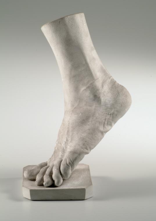 Linker männlicher Fuß (Lebendabguss)