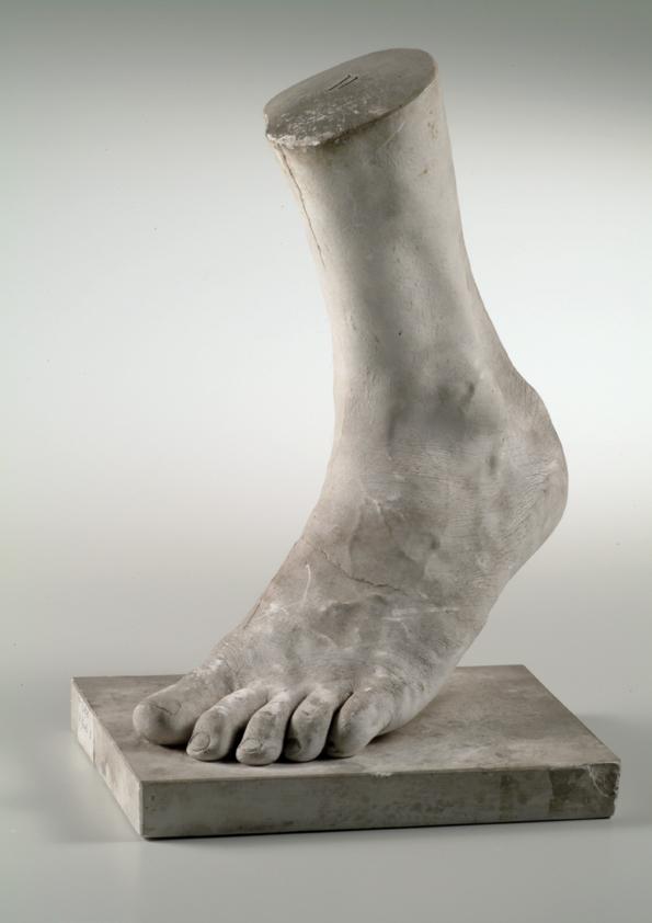 Linker männlicher Fuß (Lebendabguss) ("D")