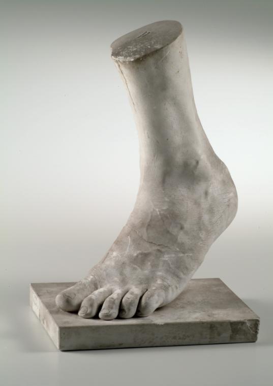 Linker männlicher Fuß (Lebendabguss) ("D")